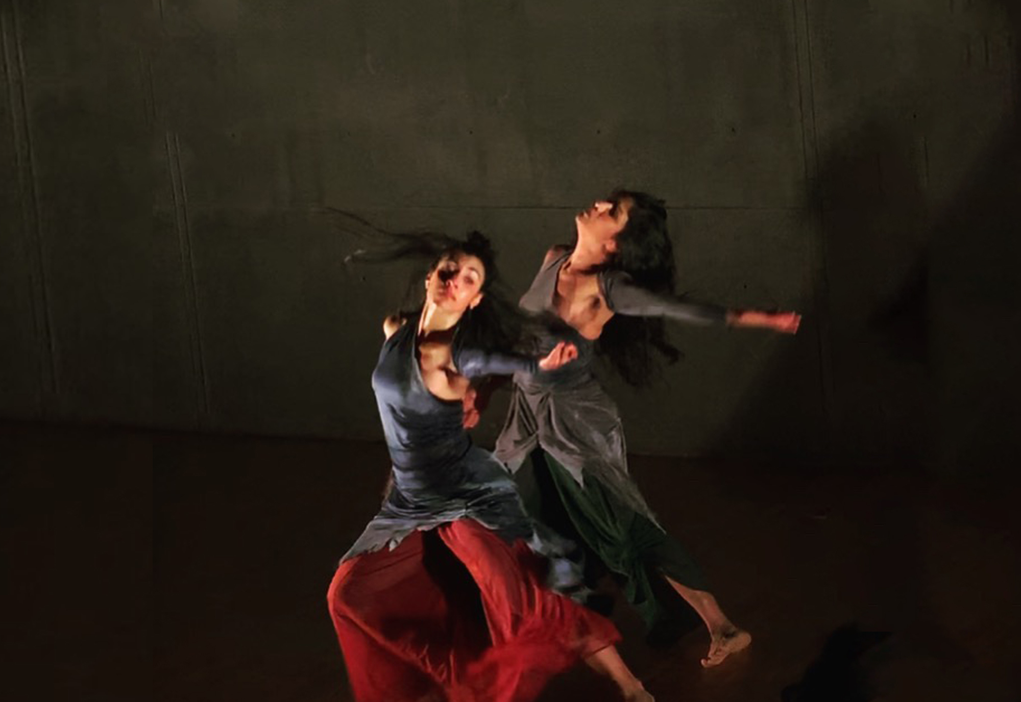 Parul Shah New York Times Review